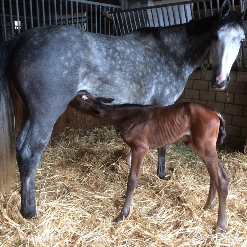 Cute Girl du Perchet