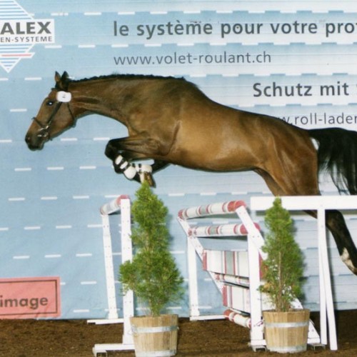 Demi Lune du Perchet