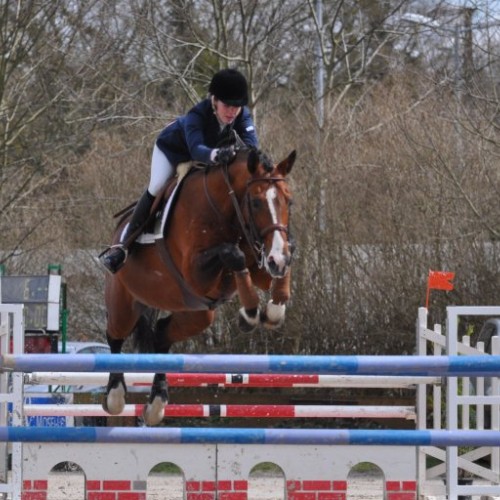 Dollar du Mesnil  H.N.