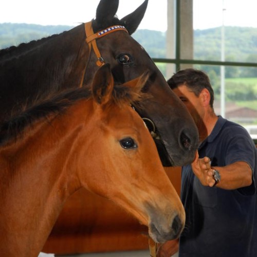 Lady Ludwig du Perchet